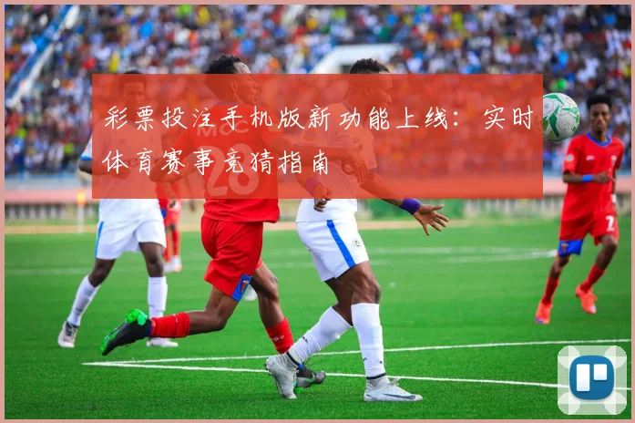 彩票投注手机版新功能上线：实时体育赛事竞猜指南